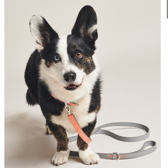 Pawness Vegan Dog Leash in Coral & Grey - Picture 2 of 2